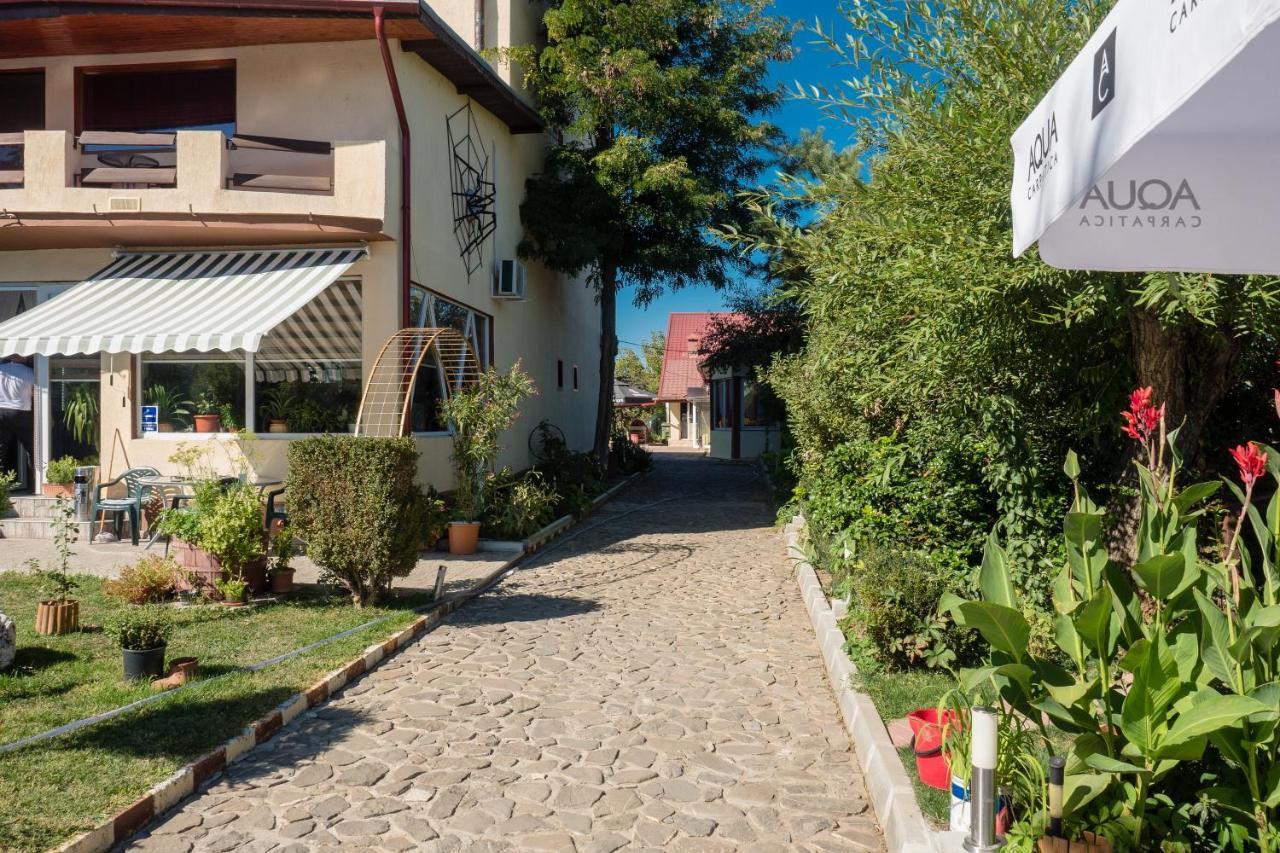 Pension Motanul Galanton Snagov Exterior photo