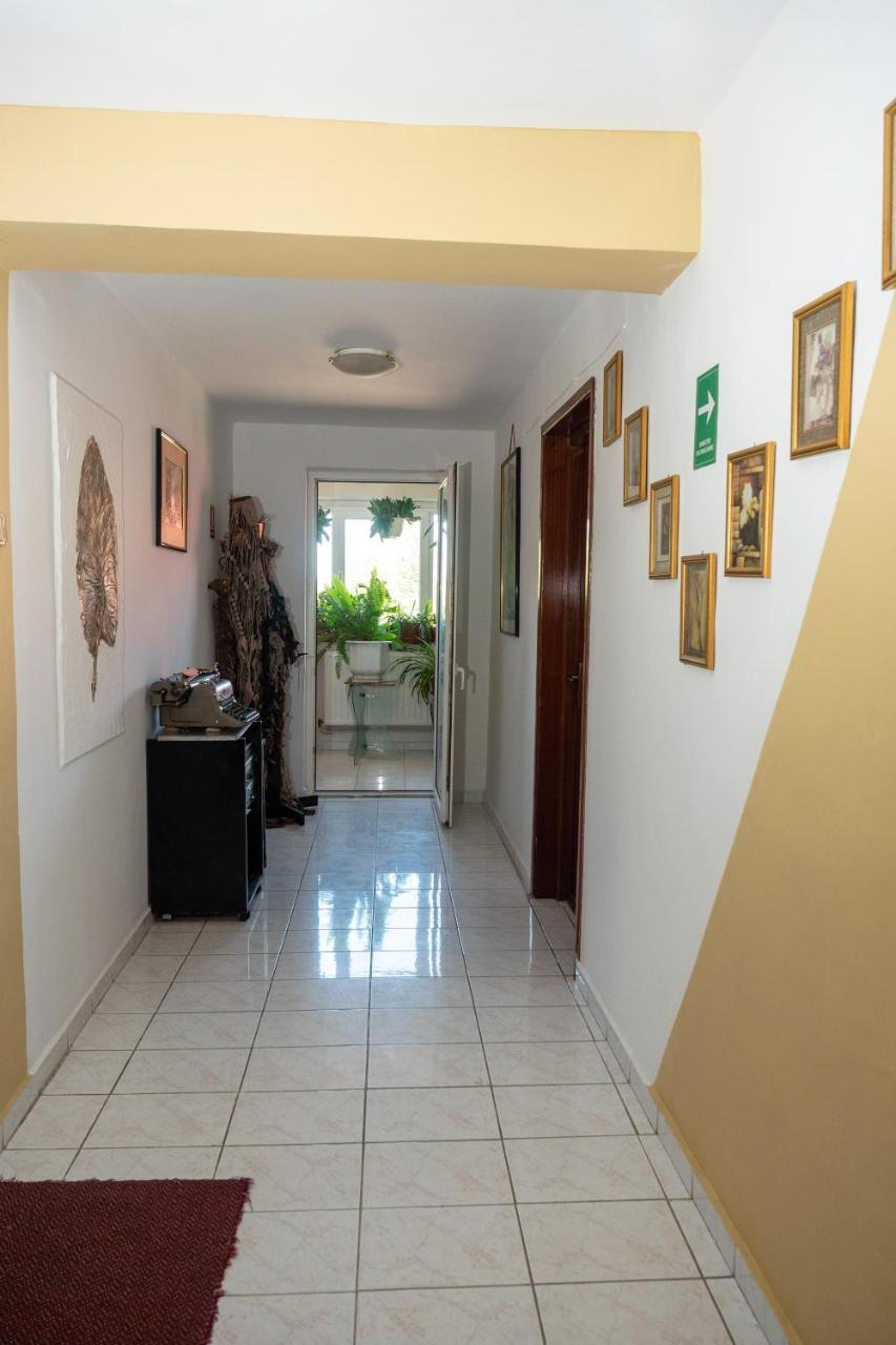 Pension Motanul Galanton Snagov Exterior photo